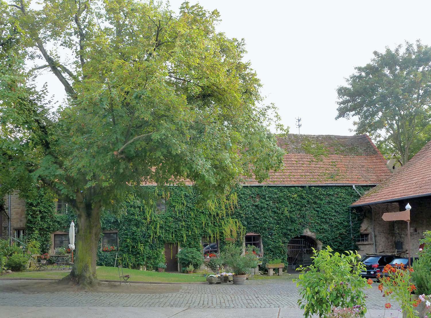 Familienweingut Bremer