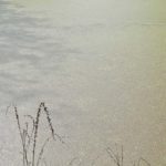 Weiher in der Gemeinde Usingen vor ...