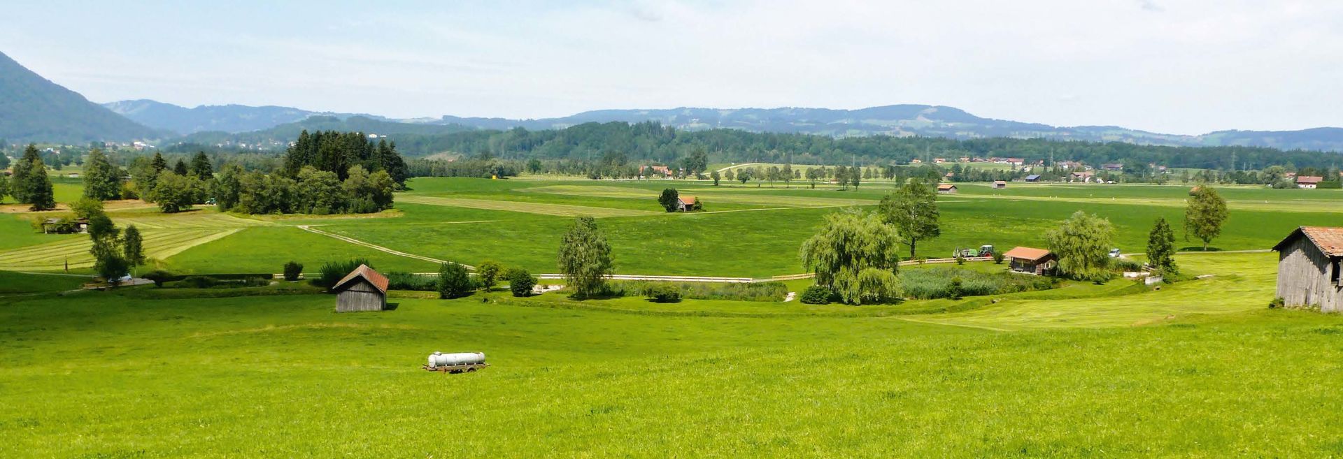 Pflanzenkläranlage