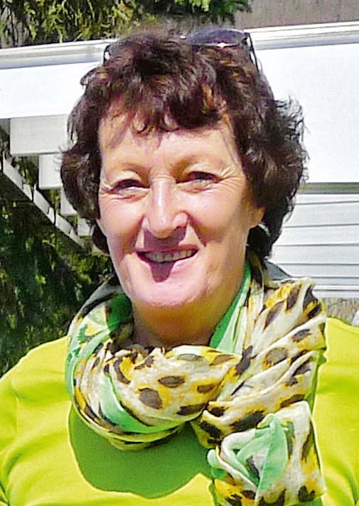 Gesundheits Befragung EM