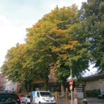 September 2014 – nach der EM-Behandlung!