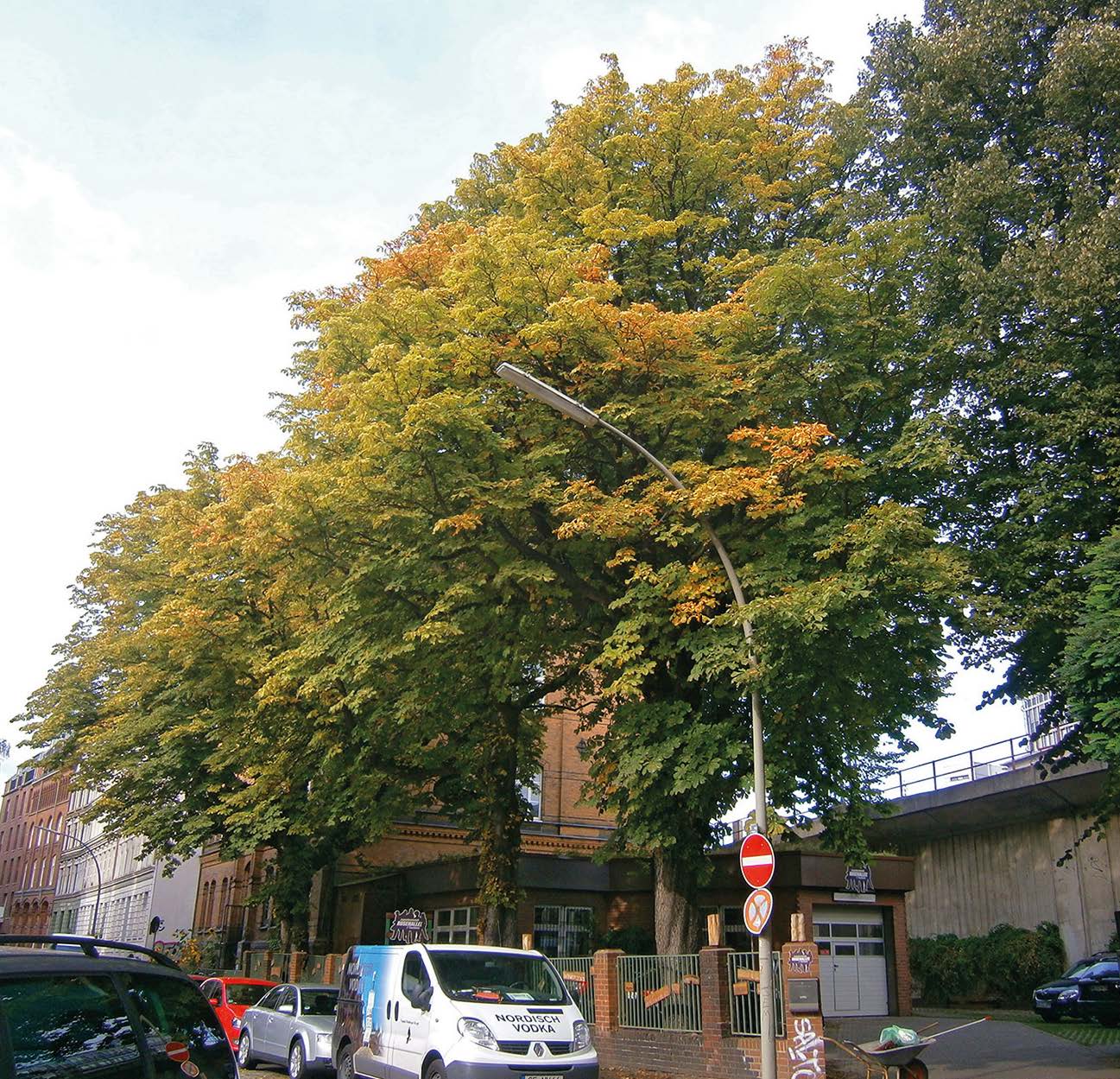 September 2014 – nach der EM-Behandlung!