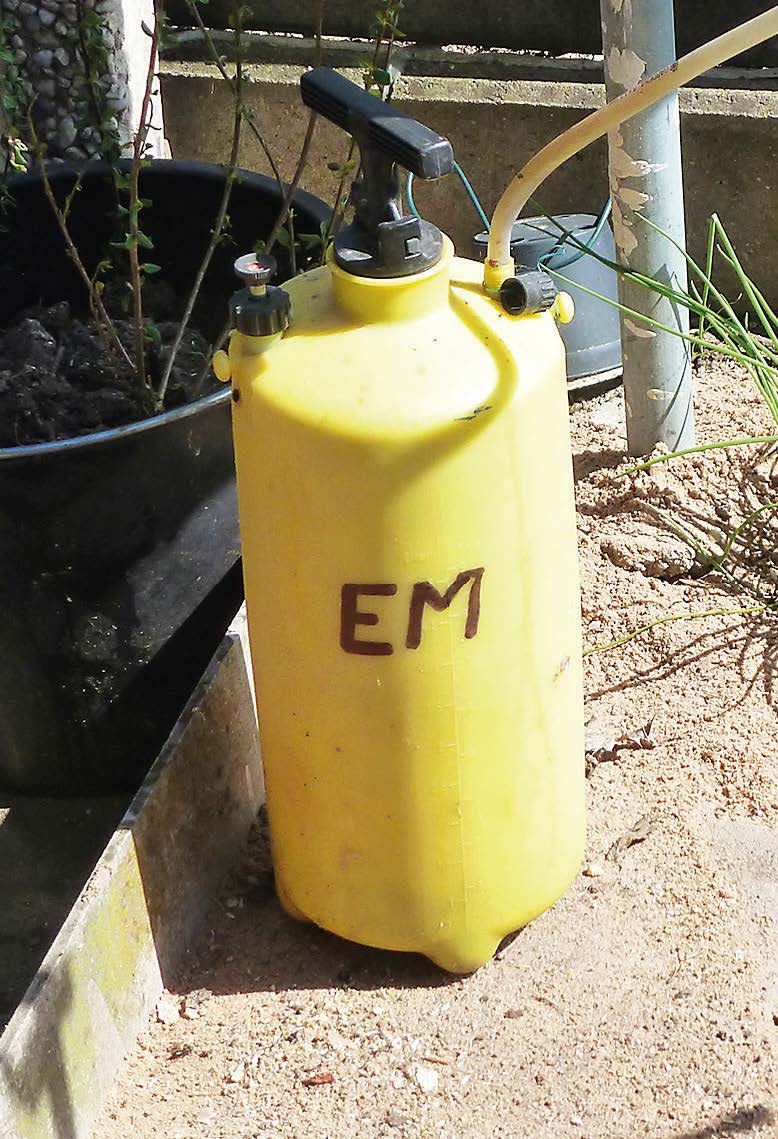 die EM-Spritze