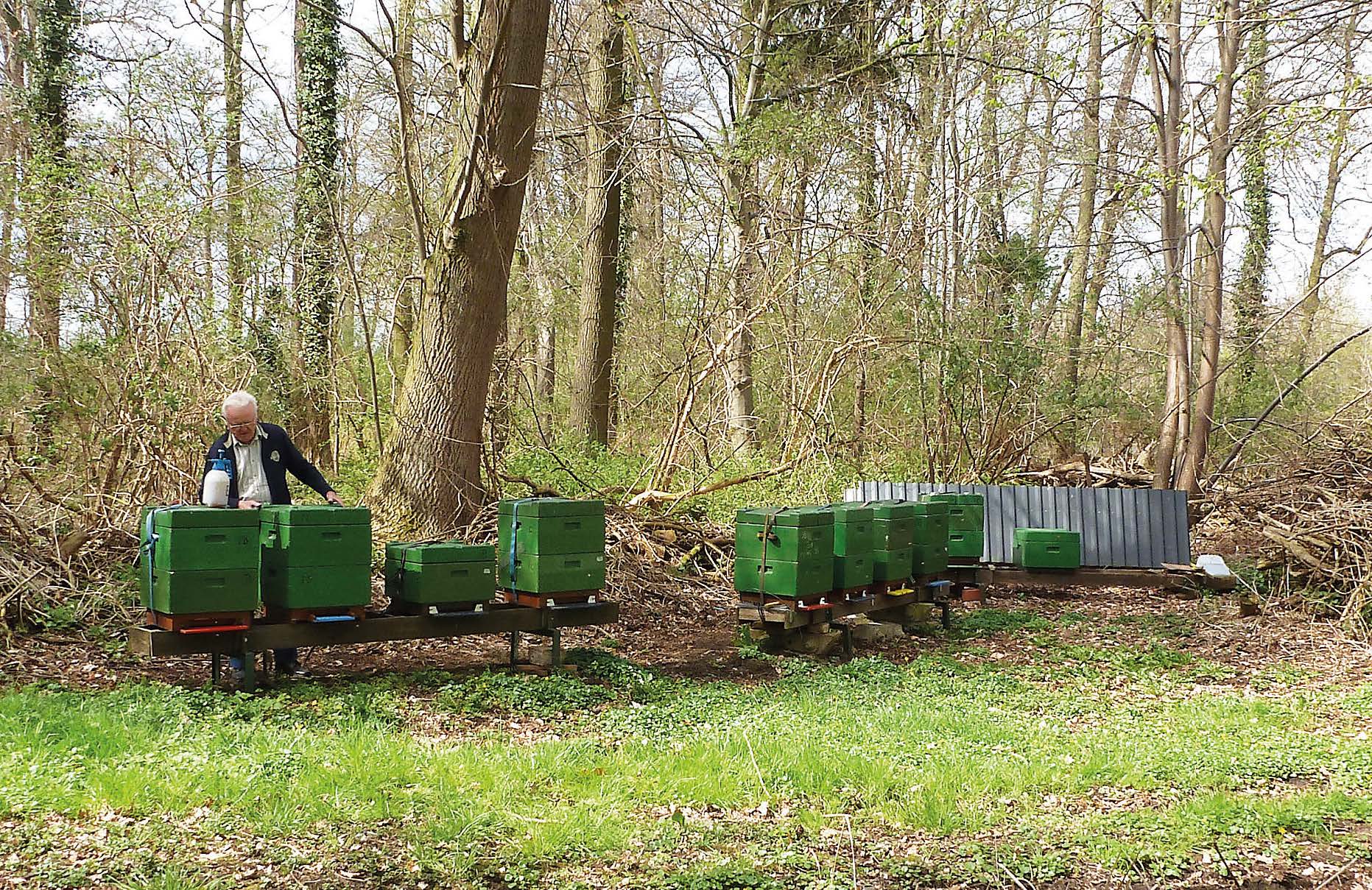 Bienenstockstandort