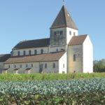 Salat, Kohl und Blumen