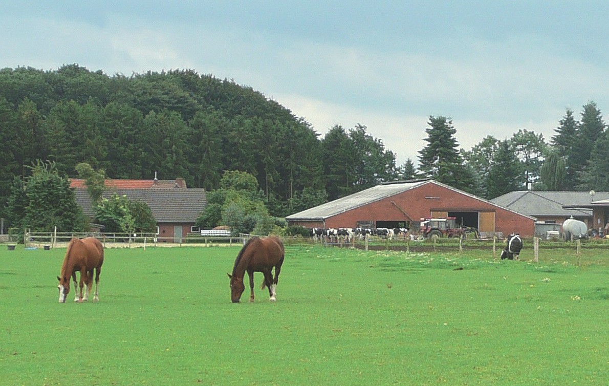 Der Hof