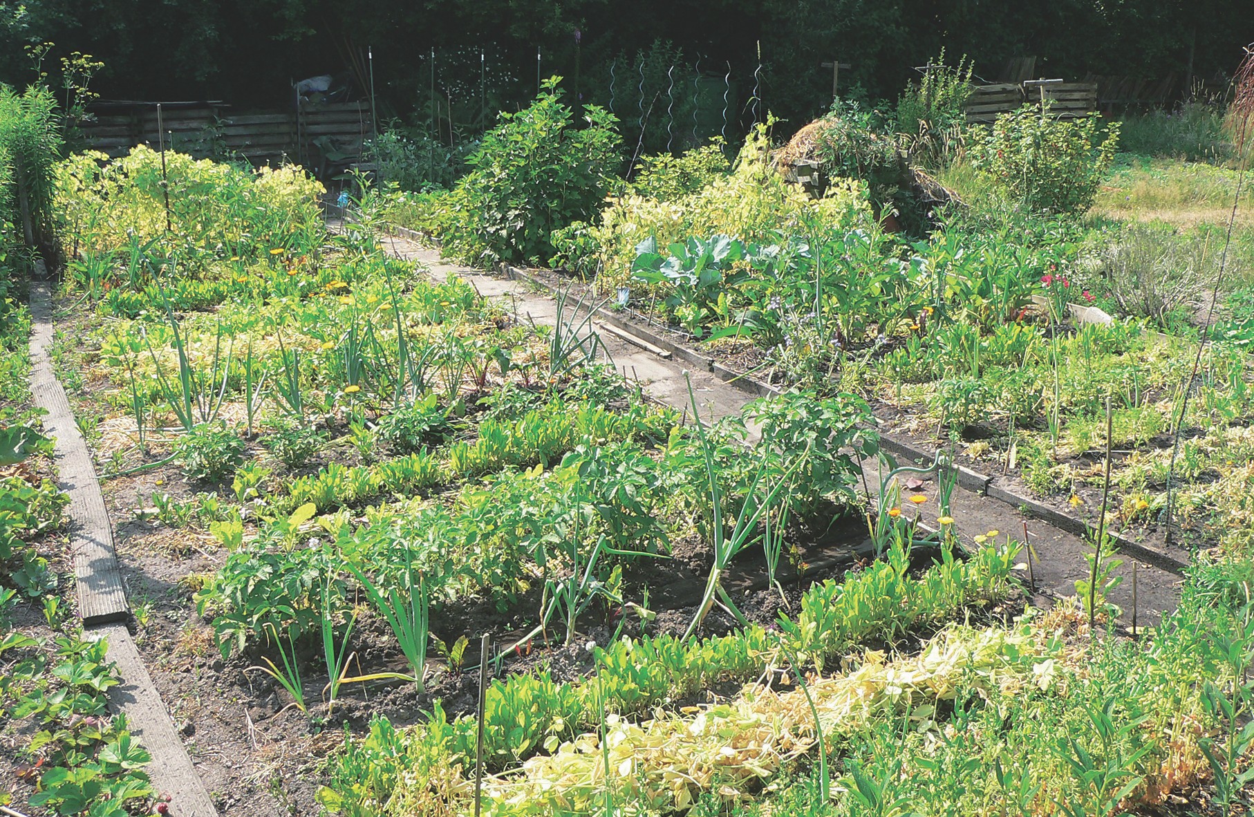 Garten auf moorigem Boden