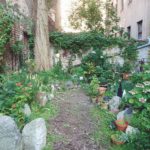 Margot Heimbuchners Hinterhof-EM-Garten