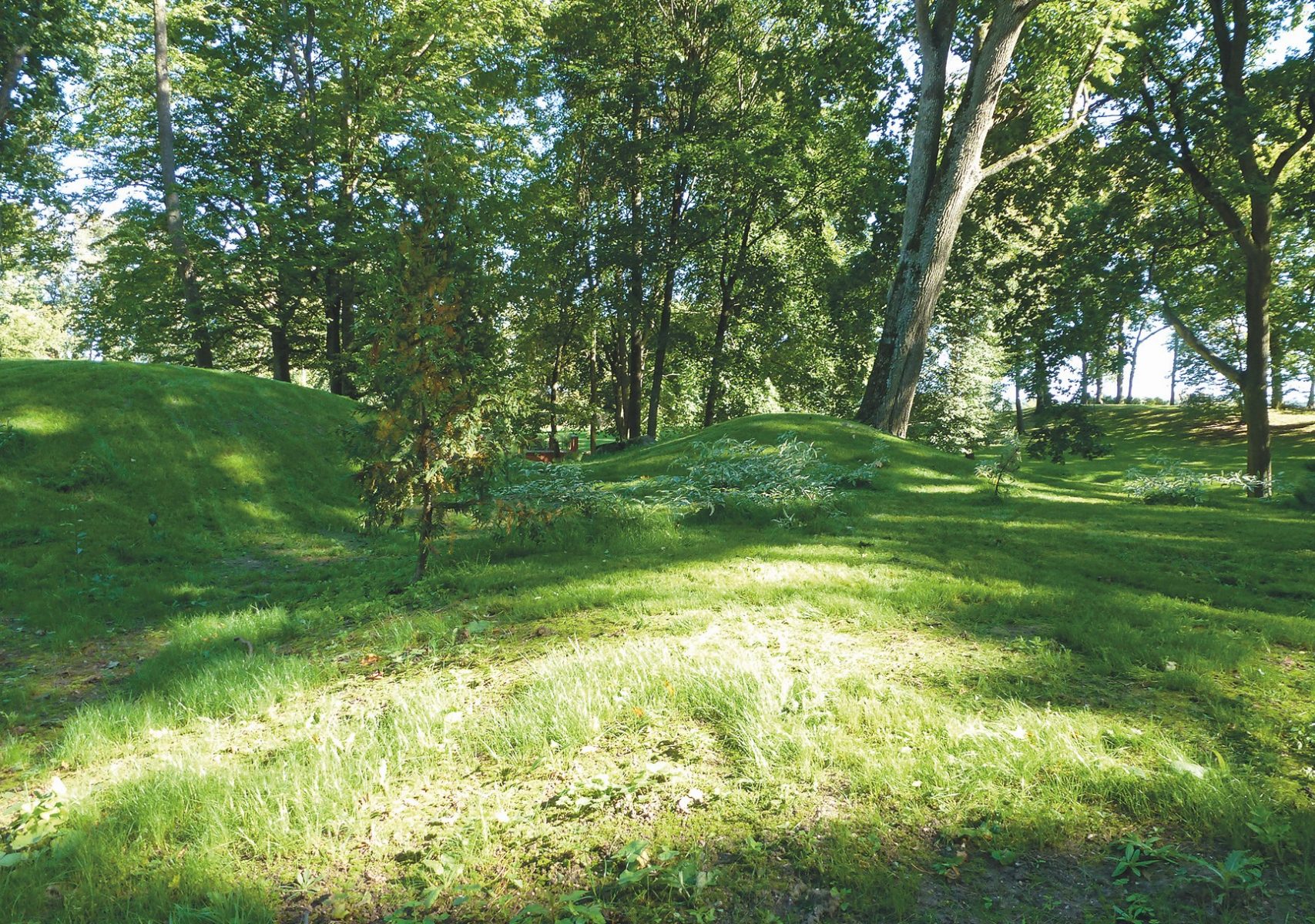 Unmerklich, aber effektvoll wurde das Gelände des Parks gestaltet, der viele alte Bäume beherbergt.