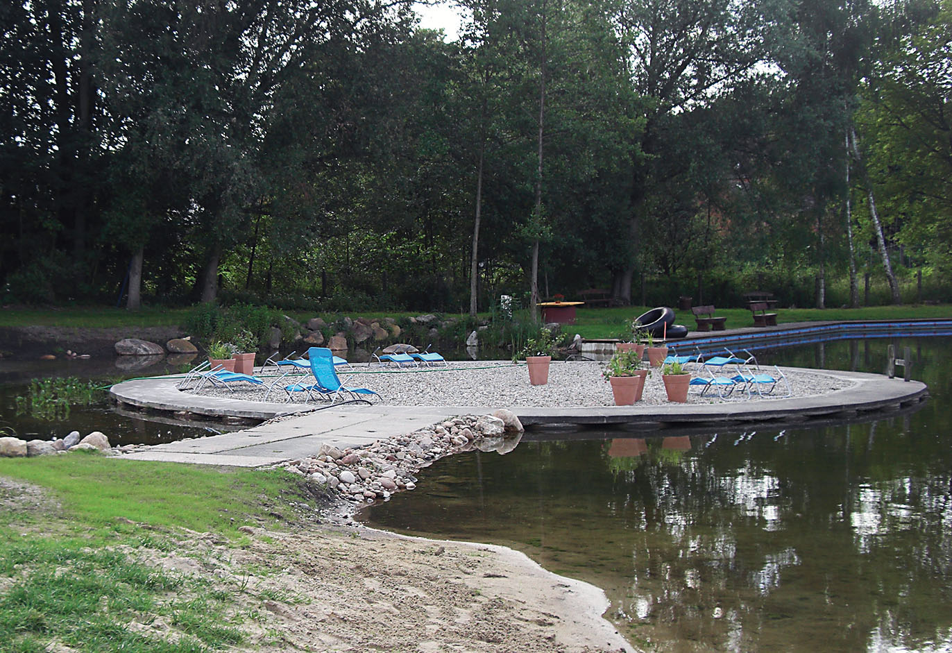 Neu angelegt: Um die Liege-Insel wurde im Mai 2012 ein Schilfgürtel begonnen, damit die Pflanzen das Wasser filtern.
