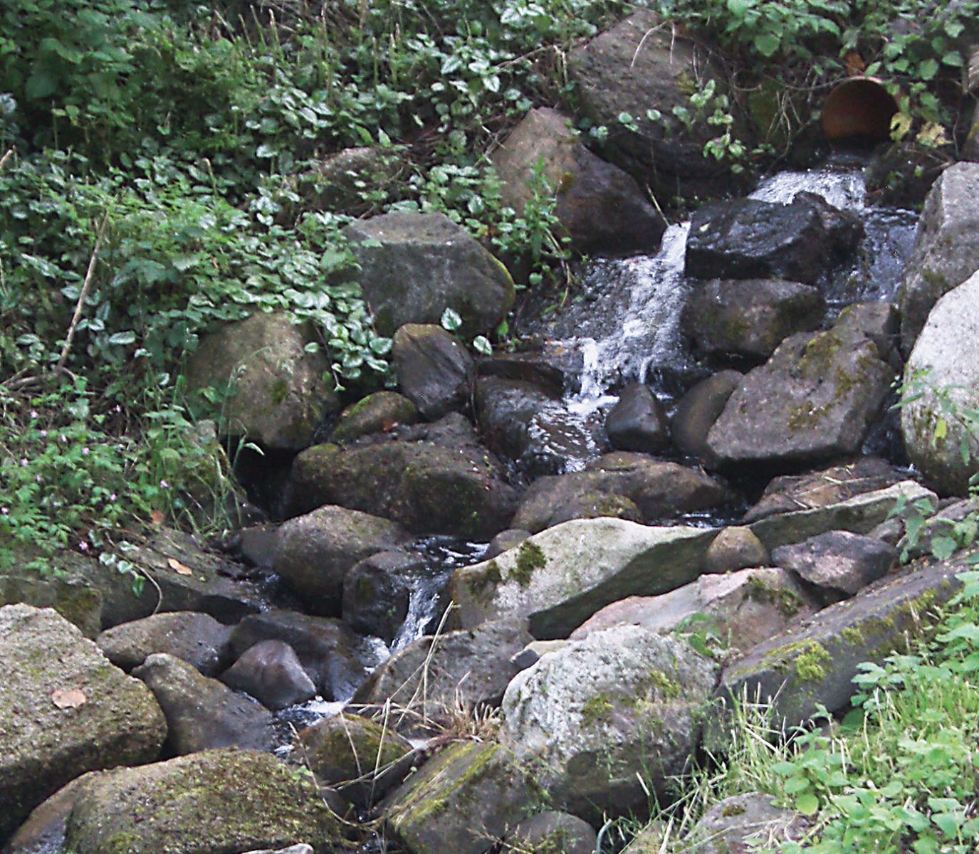 Der wiederhergestellte "Wasserfall" speist die Pferdeschwemme.