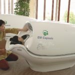 EM-Ganzkörper-Behandlung in der futuristischen EMKapsel