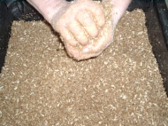 Kugelprobe1 Superbokashi Herstellung