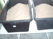 gefüllte Wannen mit Kleie Superbokashi Herstellung