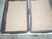 gefüllte Wannen mit Kleie Superbokashi Herstellung