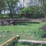 Der Garten während der Aufräumarbeiten