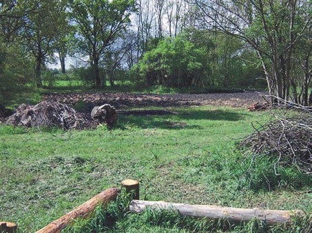 Der Garten während der Aufräumarbeiten