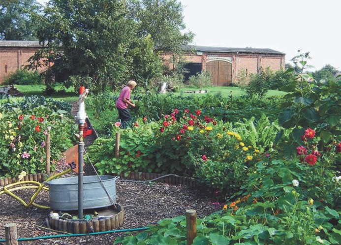 Blumen im EM Schulungsgarten