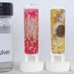 Intensive Forschung geht der Einführung von neuen Produkten voraus.