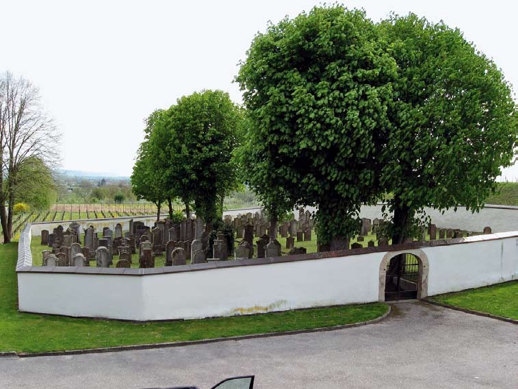 Der jüdische Friedhof in Ihringen am Kaiserstuhl mit den prächtigen Kastanien, die bisher regelmäßig von der Miniermotte geschädigt wurden.