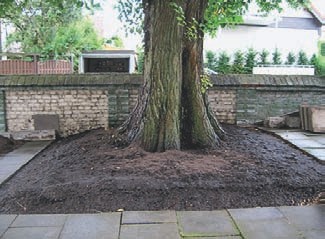 Bokashi verbessert den Mutterboden