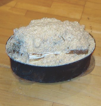 Ausgedienter Gänsebräter