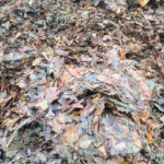 Fermentiertes Herbstlaub