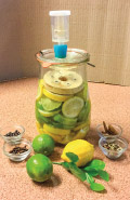 Zitronensirup aus Salzfermentation