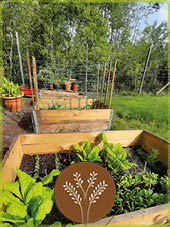 Effektive Mkroorganismen im Garten