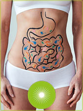 EM und Gesundheit
