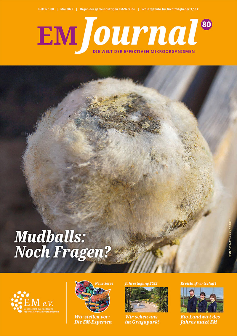 EM-80_JOURNAL_Titel