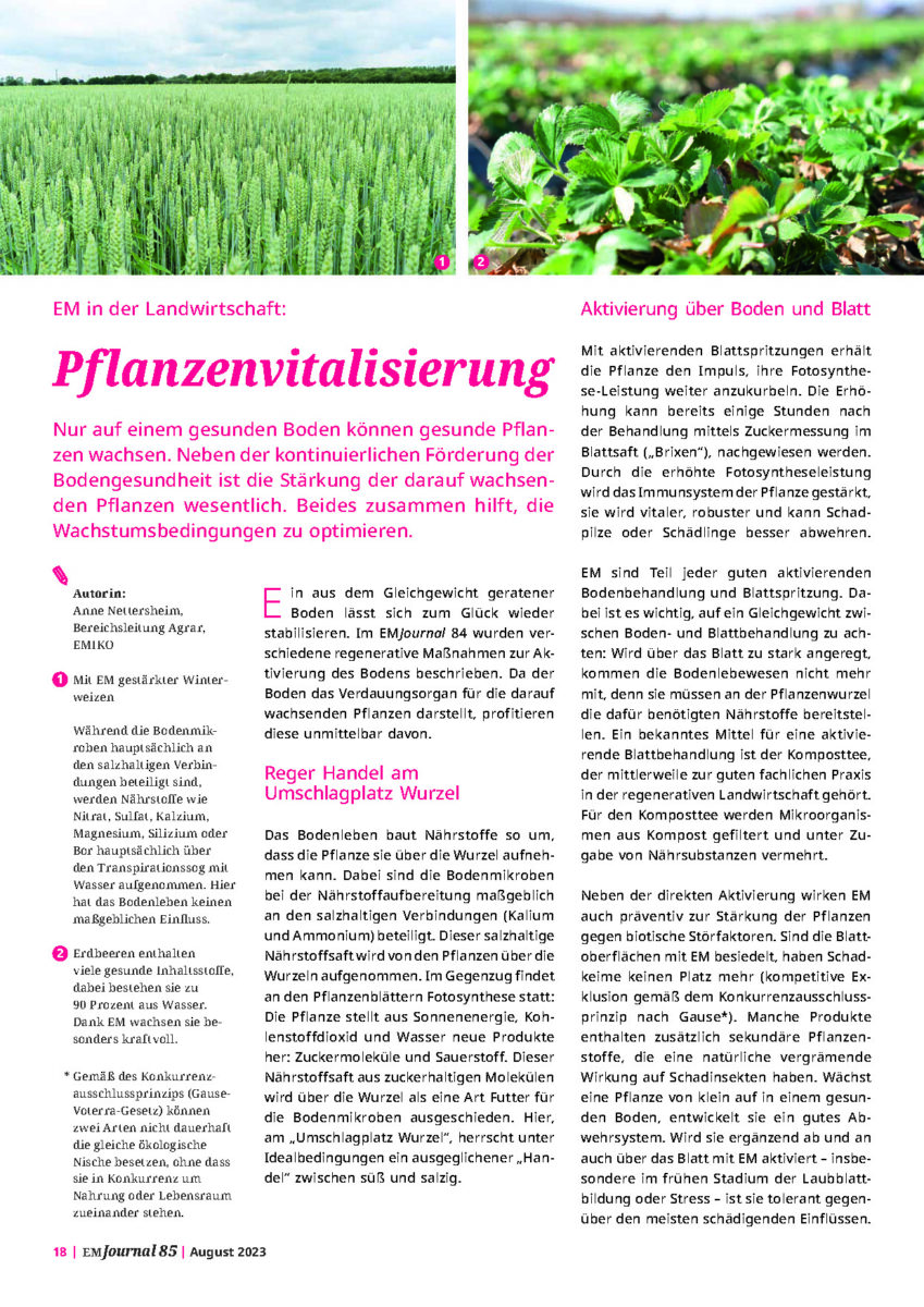 Pflanzenvitalisierung