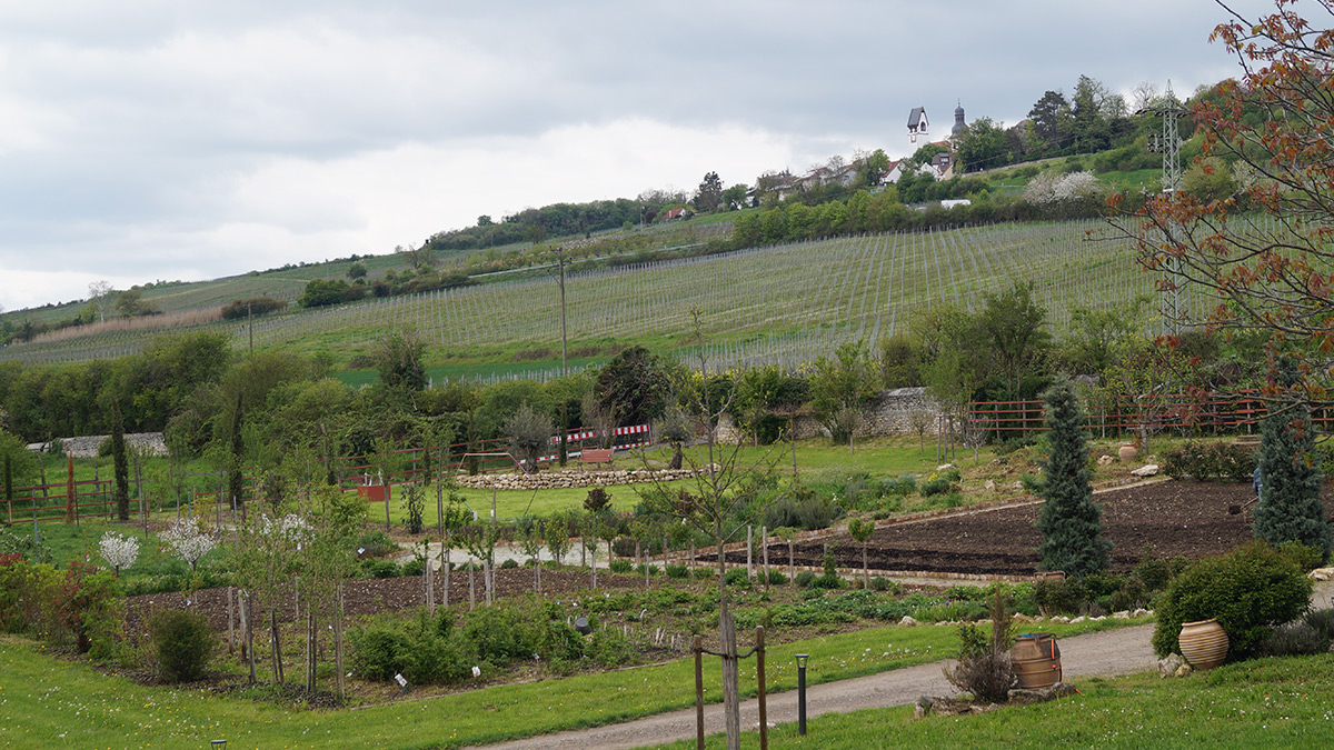 Weingut Bremer