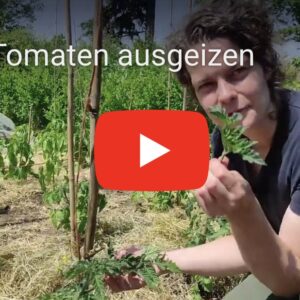 Produktdemo (Video) 2